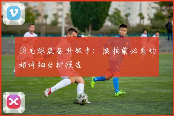 羽毛球装备升级季:换拍前必看的超详细分析报告