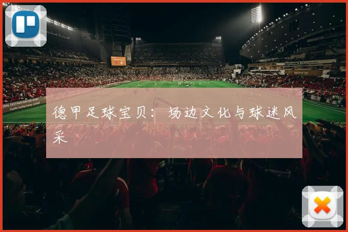 德甲足球宝贝:场边文化与球迷风采