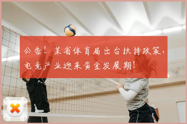 公告!某省体育局出台扶持政策,电竞产业迎来黄金发展期!