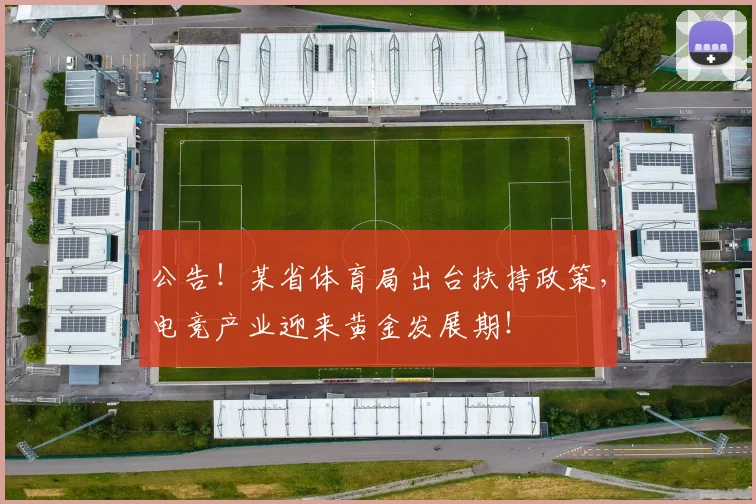公告!某省体育局出台扶持政策,电竞产业迎来黄金发展期!