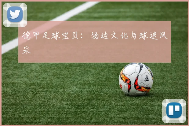 德甲足球宝贝:场边文化与球迷风采